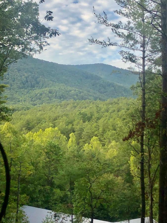 Mountain-Top Cabin Get-Away With Hot Tub And A View Sautee Nacoochee Ngoại thất bức ảnh