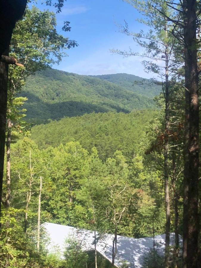 Mountain-Top Cabin Get-Away With Hot Tub And A View Sautee Nacoochee Ngoại thất bức ảnh